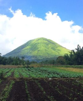 Tomohon